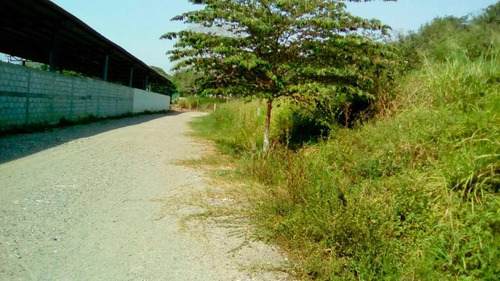 Terreno Venta Poza Rica De Hidalgo Veracruz 2000 M²