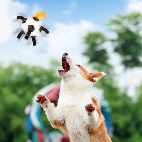 Juguete Interactivo Para Mascotas Al Aire Libre, Entrenamien