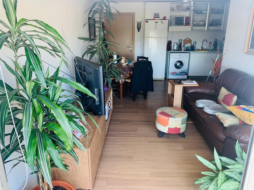 Imagen 3 de 15 de Muy Lindo Apartamento En Malvín, Moderno Y Luminoso, De 2 Dormitorios, Garage Y Amenities