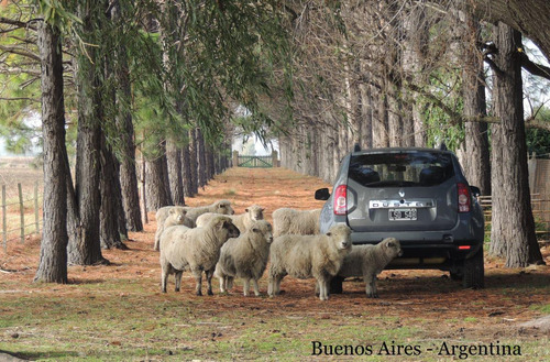 Campo  18  Hectareas  En  Marcos Paz    Chacra  Ruta 6  Inversor