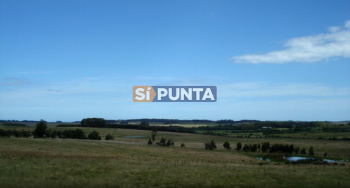 Campo En Venta - Ruta 104