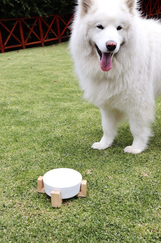 Imagen 3 de 3 de Plato Para Perro En Cerámica Mediano Color Blanco