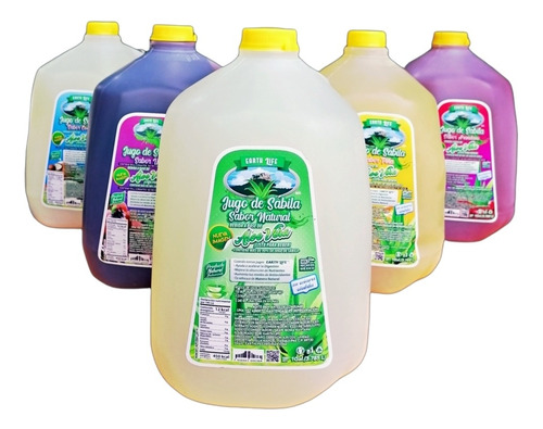 1 Caja (4 Galones) Jugo De Sábila V/sabores Earth Life Aloe