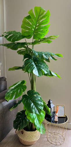Imagen 1 de 2 de Planta Artificial Monstera Xl