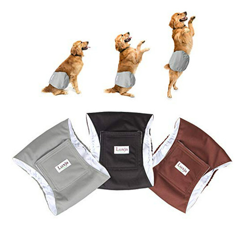 Luxja Reutilizables Pañales Perro Masculino (pack De 3), Lav