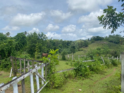 En Venta Terreno 191,000 Metros, Las Guazaras, Samana (caballos)