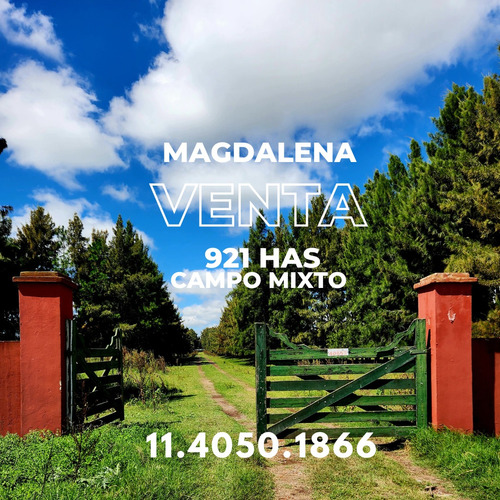 Venta - 921 Has En Magdalena - Campo Ganadero Sobre Asfalto - Luz Eléctrica.