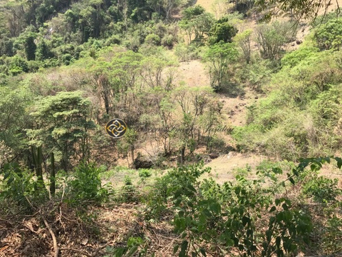 Chácara Á Venda Em Bueno Brandão - Ch00020 - 68676926