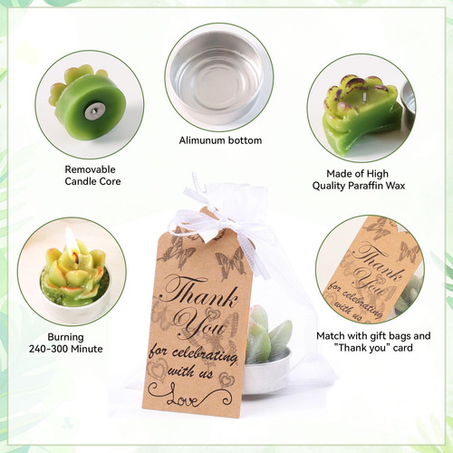 Aixiang 72 Sets Cactus Candles Suculent Talight Candles + Or
