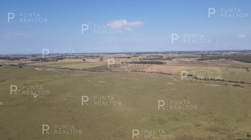 Venta De Campo Criador Y Turístico, 43 Hectáreas, Ruta 9 Rotonda De San Carlos, Uruguay