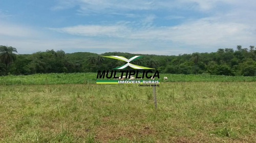 Imagem 7 de 9 de Fazenda Para Pecuária, 460 Hectares Em São Gonçalo Do Abaeté Mg - 386