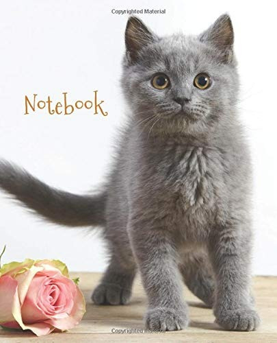 Notebook British Shorthair Kitten Journal