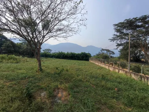 Lote En Venta En Corozal. Cod V29028