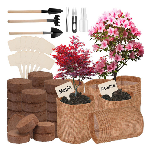 Kit 66 Pieza Arbol Bonsai Para Interior Cultivo Marcador