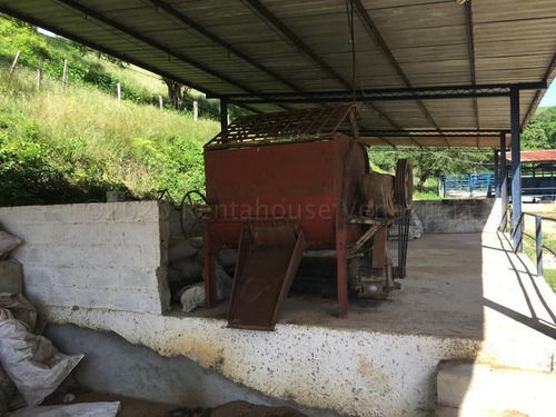 Imagen 12 de 30 de &&& Finca En Venta Aroa Yaracuy Rah 23-4755 // Invierta Seguro Con Rentahouse//
