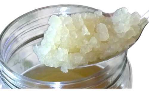 Nódulos De Kefir De Agua Tibicos Para Producir 1l