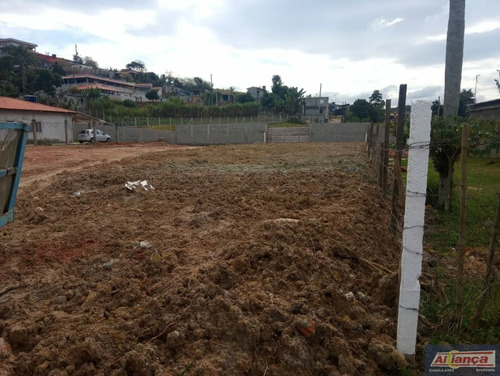Imagem 9 de 10 de Terreno Para Venda No Bairro Taboão Em Mogi Das Cruzes - Cod: Ai29170 - Ai29170