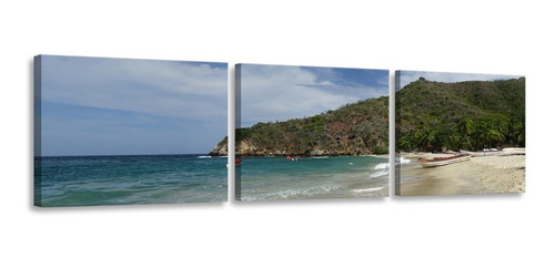 Cuadro Playa Cepe Choroni Aragua Multipanel Foto Canvas