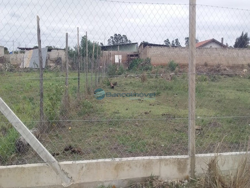 Imagem 8 de 18 de Chacara - Ch00126 - 68868949