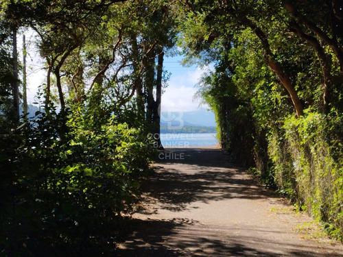 Oportunidad De Inversión. Camping En Lago Calafquén.