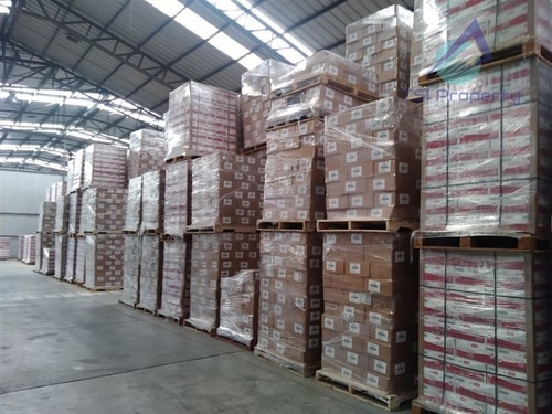 Imagen 11 de 30 de Industrial Res Sanitaria Alimentos 4.167 Mt2 Arriendo Lampa