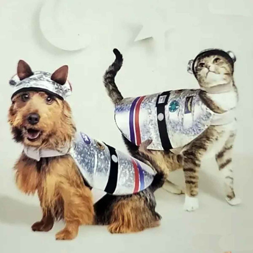 Disfraz Astronauta Para Gato O Perro, Con Casco