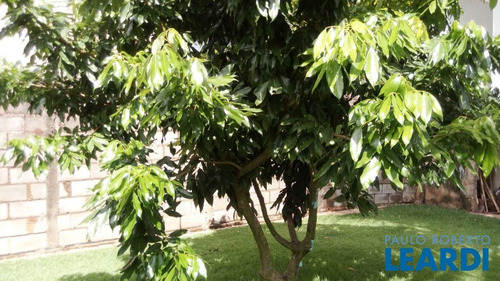 Imagem 3 de 15 de Casa Térrea - Jardim Maria Rosa - Sp - 536227