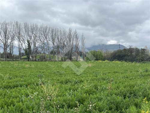 Sitio Industrial En Venta En Llay Llay