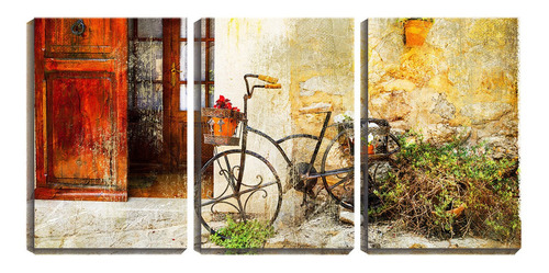 Quadro Decorativo 68x126 Vaso De Flor Em Bicicleta Vintage