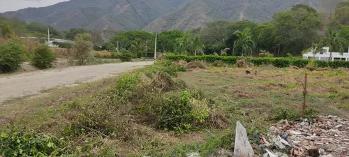 Lote En Venta En Venecia. Cod V12513