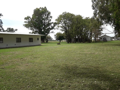 Imagen 6 de 18 de Venta Chacra 40 Hs Con Criadero De Cerdos En Las Flores.