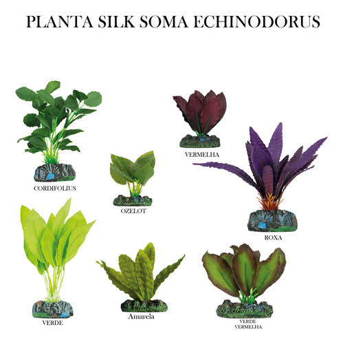Planta Silk Soma Echinodorus Cordifolius 13cm