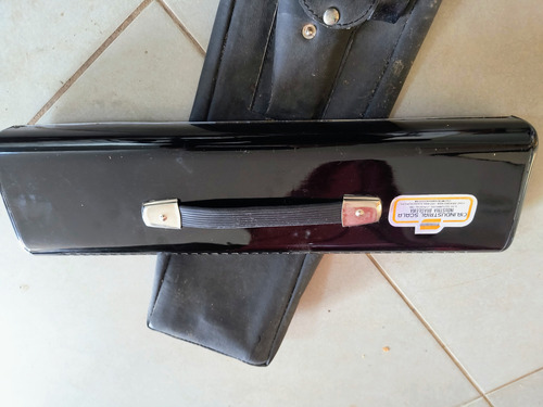 Piano Orgao Giannini Toccata 49 Vintage + Escaleta (sp) (Usado)
