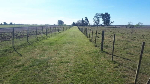 Imagen 1 de 30 de Venta - Campo En Cardales - Bayugar Negocios Inmobiliarios