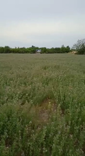 Imagen 3 de 3 de En Venta 6 Hectáreas En Paraná.zona El Brete