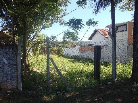 Imagem 1 de 2 de Terreno Para Aluguel Em Vila Sônia (sousas) - Te018795