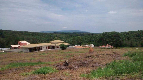 Imagem 3 de 6 de Terreno À Venda, 1000 M² Por R$ 280.000,00 - Condomínio Terras De São Lucas - Sorocaba/sp - Te4422