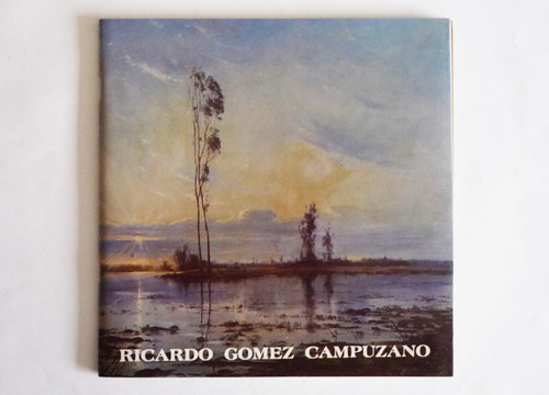 Ricardo Gomez Campuzano - Museo De Arte Moderno 