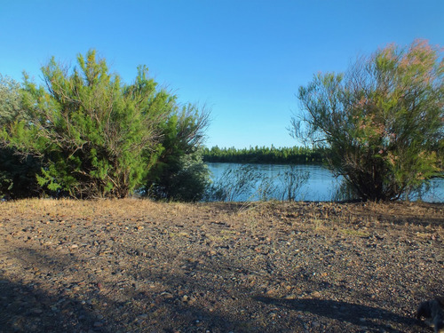 Campo 96ha, Luis Beltrán, Río Negro, Patagonia, Costa De Río.