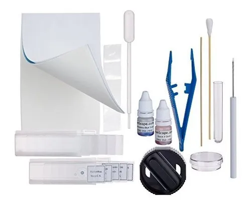Kit Preparación Portaobjetos Microscopio Con Tintes