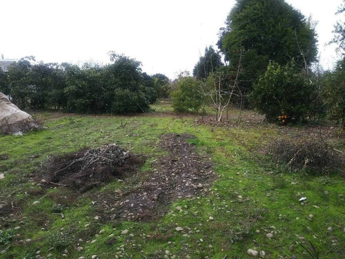 Imagen 5 de 12 de Se Vende Terreno Comercial Quinta Tilcoco