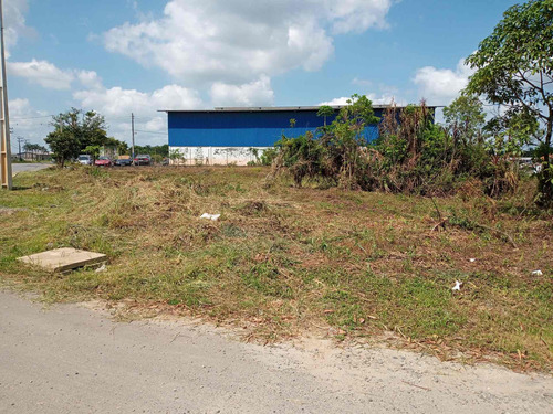 Imagem 2 de 3 de Terreno De Esquina Galpão E Germinados