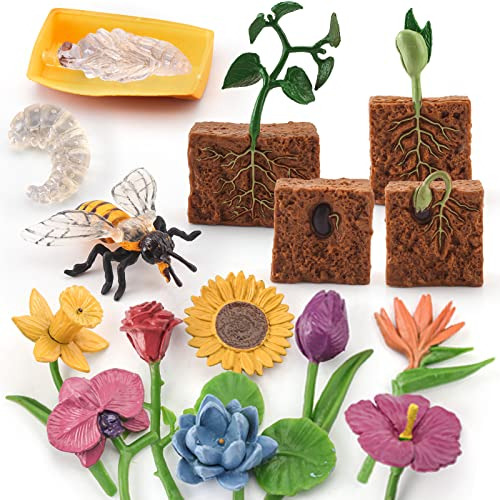 16pcs Life Cycle Of Bee Figurines Plant Toy Flower Toys...