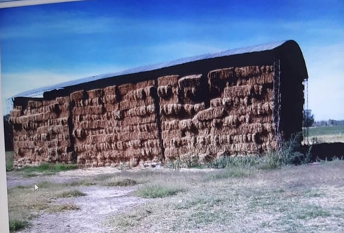 Chacra 52ha Con Costa De Rio. Luis Beltrán, Río Negro