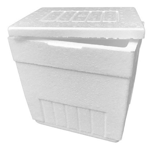 Caja Plumavit Aislapol 11 Litros (cooler) Liviana Y Compacta