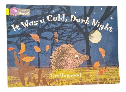 It Was A Cold, Dark Night; Tim Hopgood. Collins Big Cat (Usado)
