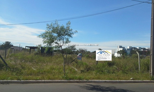 Imagem 14 de 15 de Terreno - Sao Luis - Ref: 45842 - V-45842