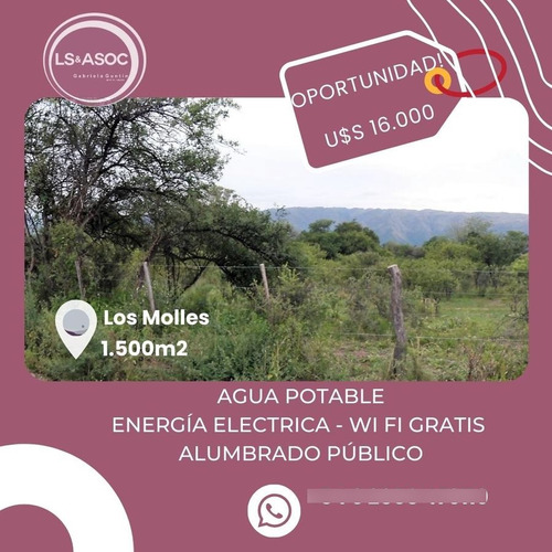 Imagen 6 de 8 de Terreno - Los Molles
