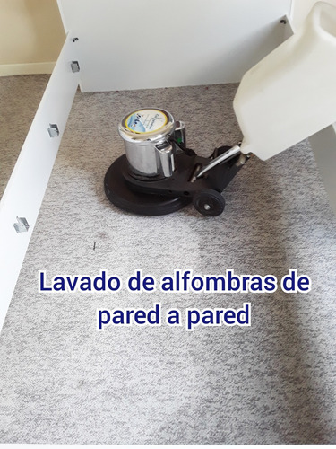 Imagen 2 de 9 de Lavado De Alfombras Y Muebles A Domicilio