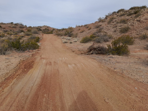 Lote En Neuquén - Loteo Sauro Ecoestancias Del Limay - Lotes Desde 1 Hectárea